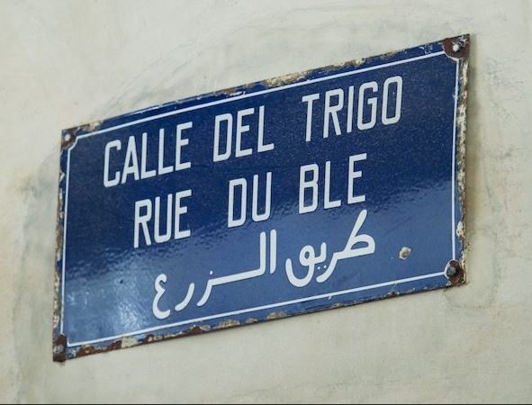language in Morocco